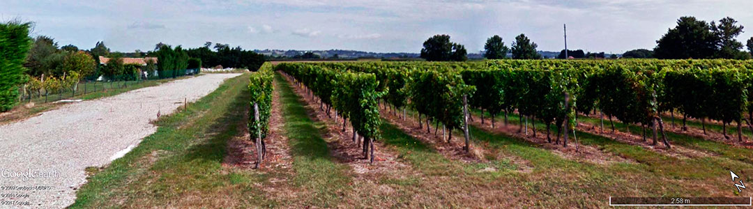 Vinhos da Fran&ccedil;a