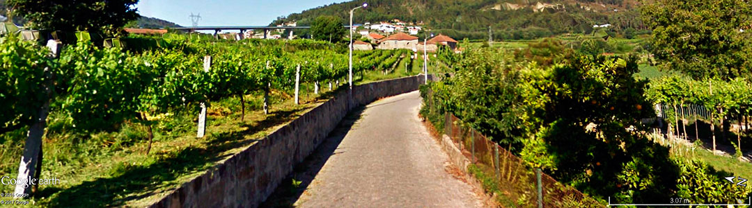 Vinhos de Portugal