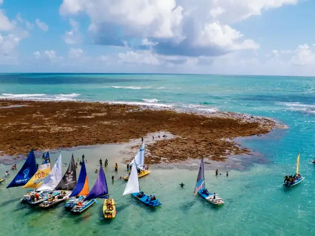 Praia de Porto de Galinhas, Litoral Sul, Pernambuco © Internet, ilustração Praia de Porto de Galinhas, Litoral Sul, Pernambuco © Internet, ilustração